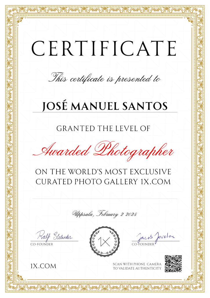 1x certificate